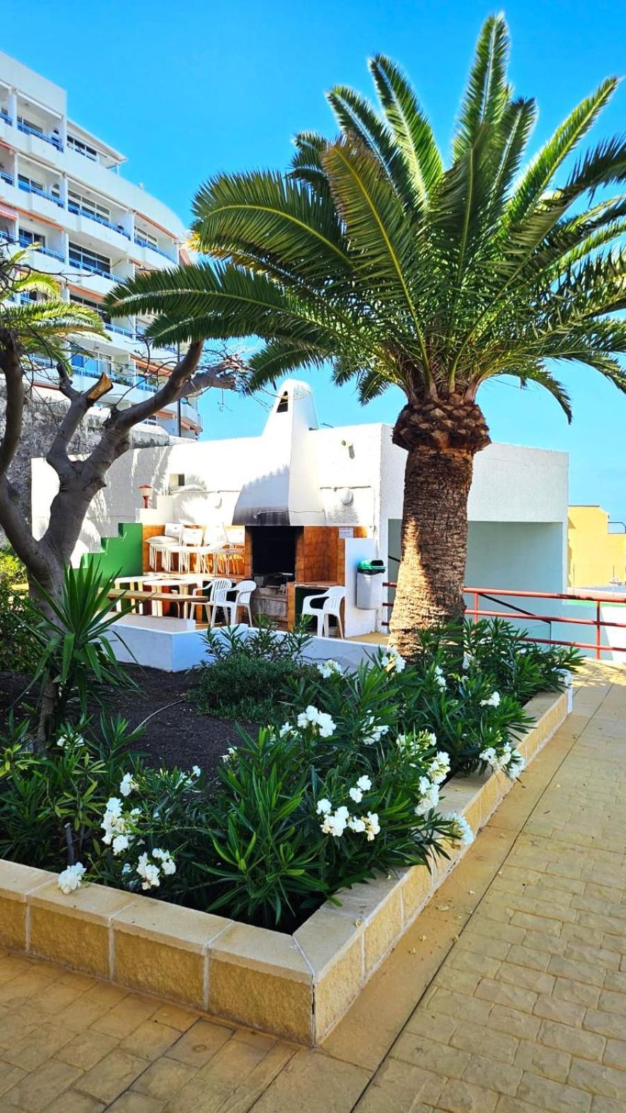 Апартаменты Playa De La Arena Puerto de Santiago  Eksteriør bilde